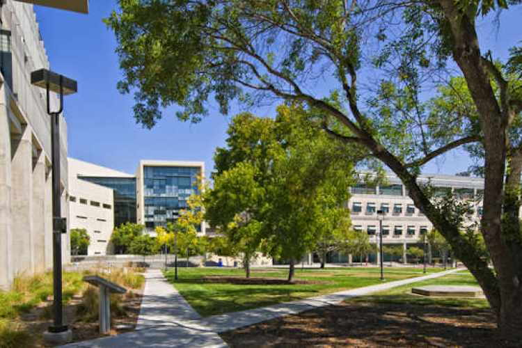 Winston Salem Bar Association